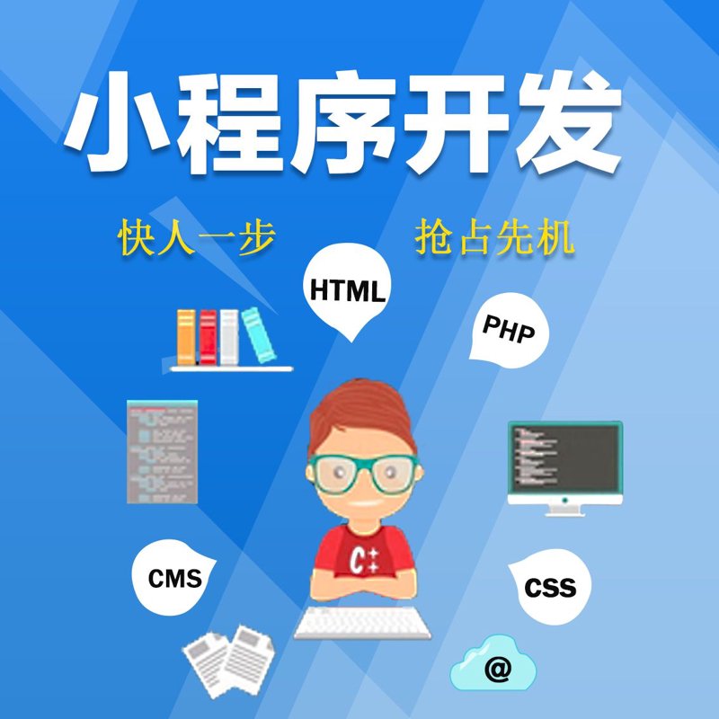 小程序开发:构建高效便捷的数字体验