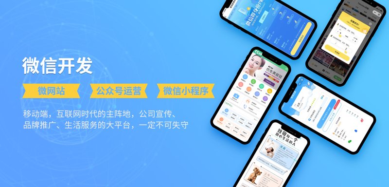 软件开发：构筑数字世界的坚固桥梁